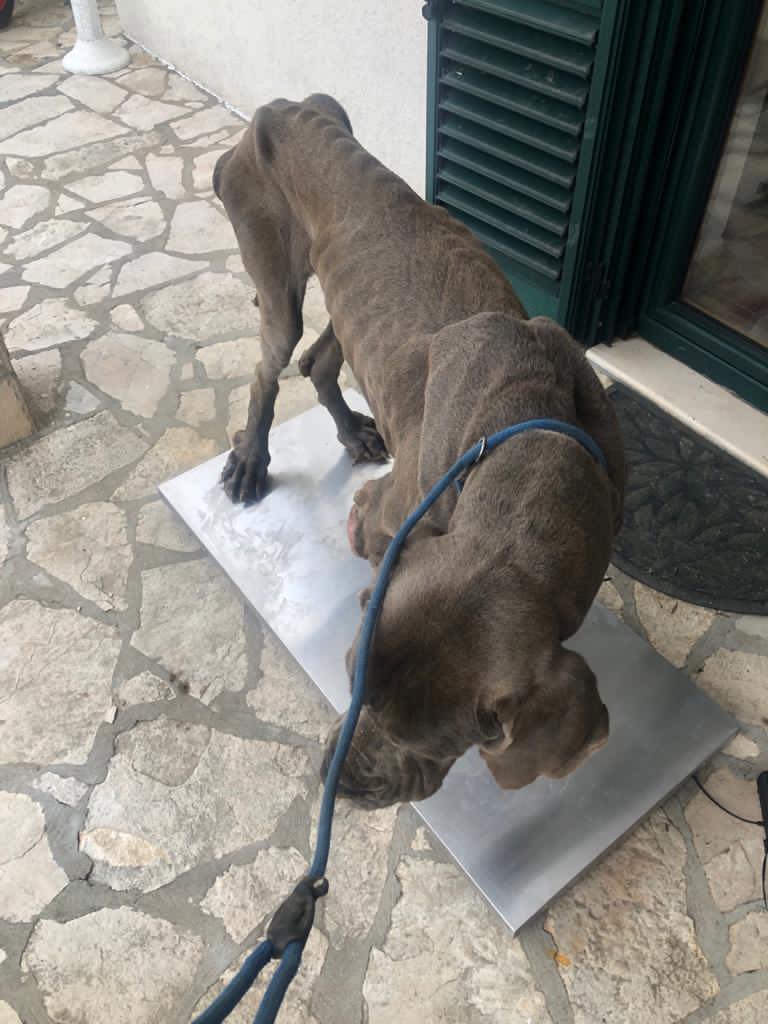 Atlas hat keinen Hunger