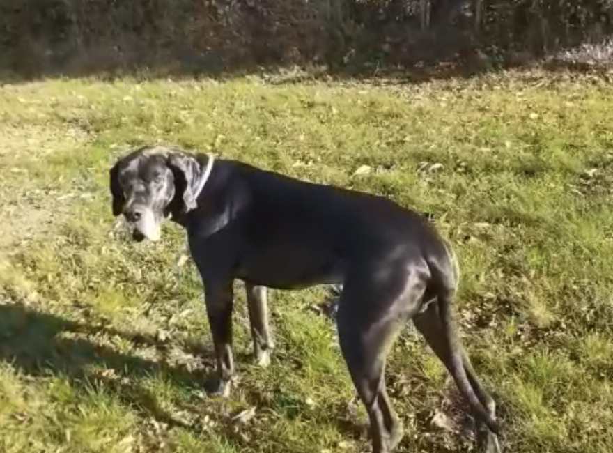 Buddy geht’s gut