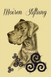 moiren-stifung-logo